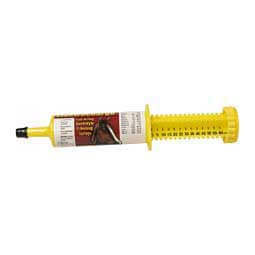 Electrocharge Horse Electrolytes  Finish Line Horse